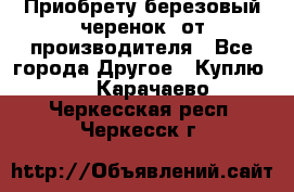 Приобрету березовый черенок  от производителя - Все города Другое » Куплю   . Карачаево-Черкесская респ.,Черкесск г.